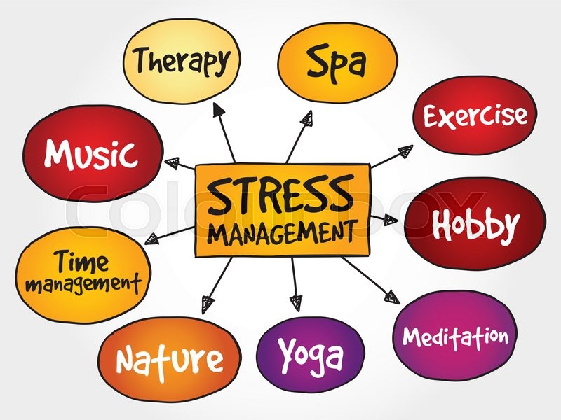 vector flowchart design concept business map, Management   Stock mind Stress