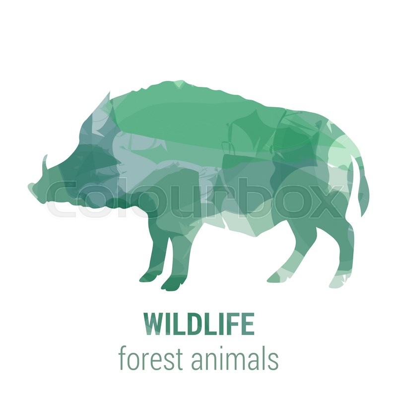 Wildlife Banner On White Background Stock Vector Colourbox
