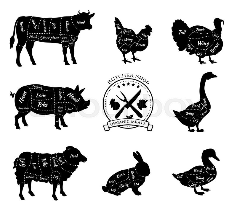 Set a schematic view of animals for butcher shop. Cow and ... pig rib diagram 