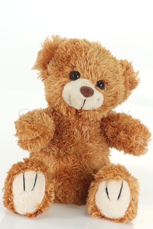 brown cute teddy bear