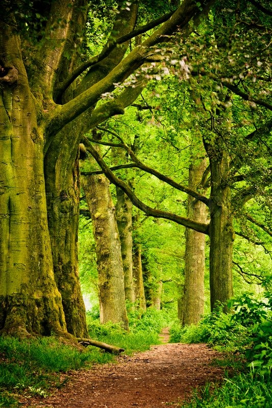 Best Nature Places To Visit In Spring In Us Best Nature Places To Visit In Spring In Us