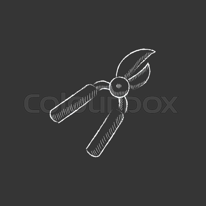 Pruner. Hand drawn in chalk vector Stock vector Colourbox
