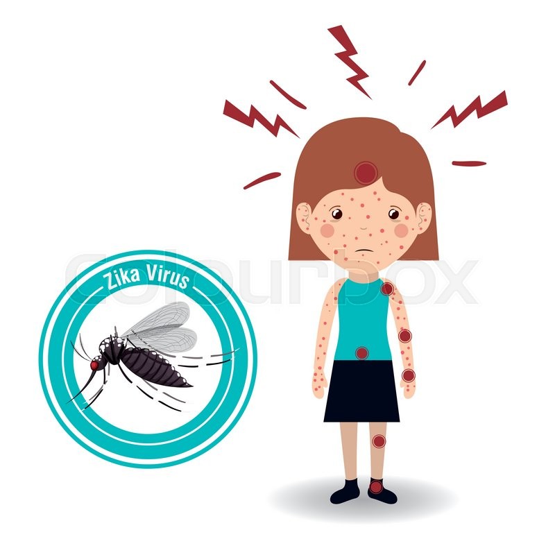 The Zika virus design, vector | Stock Vector | Colourbox
