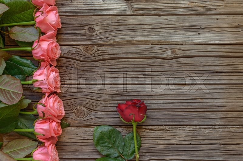 Various Stemmed Pink Roses Over Weathered Wooden Rustic Valentines Day Background With Copy Space Various Stemmed Pink Roses Over Weathered Wooden Rustic Valentines Day Background With Copy Space