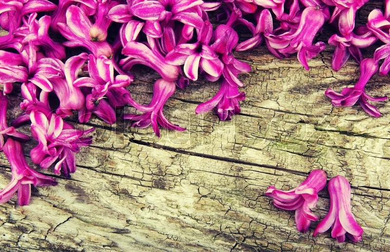 Blüten, tinte, druckfarbe | Stockfoto | Colourbox