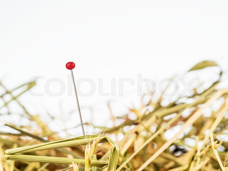 A needle is in the haystack. icon photo ... | Stock image | Colourbox