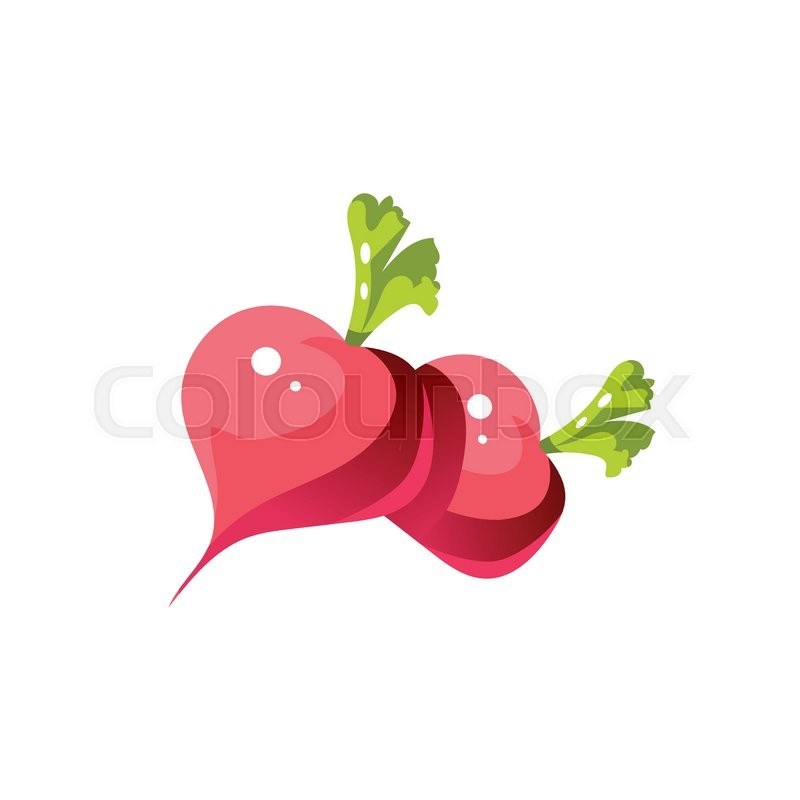 Turnip Bright Color Simple Stock Vector Colourbox