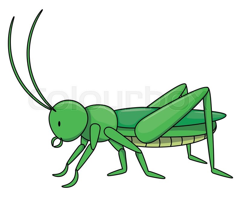 Locust cartoon illustration isolated | Stock vector | Colourbox