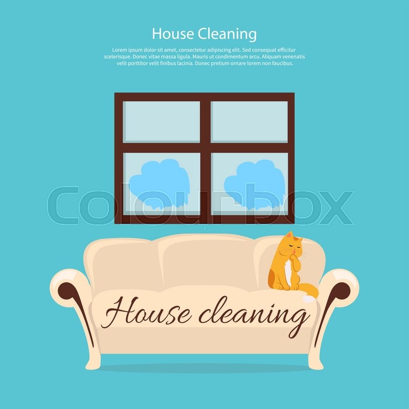 house cleaning cat on sofa design stock vector colourbox cleaning house service