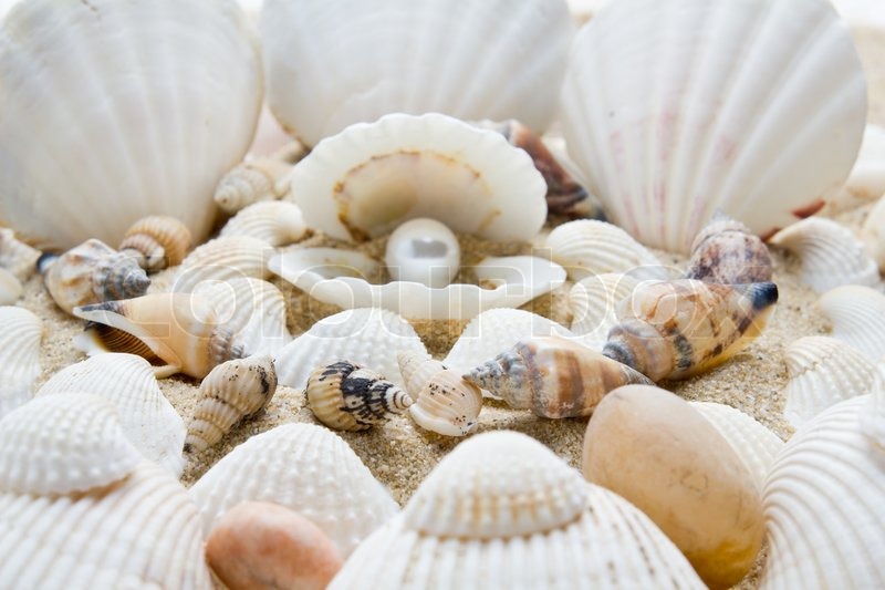 Perle an der Muschel. Stock Bild Colourbox Perle an der Muschel. Stock Bild Colourbox