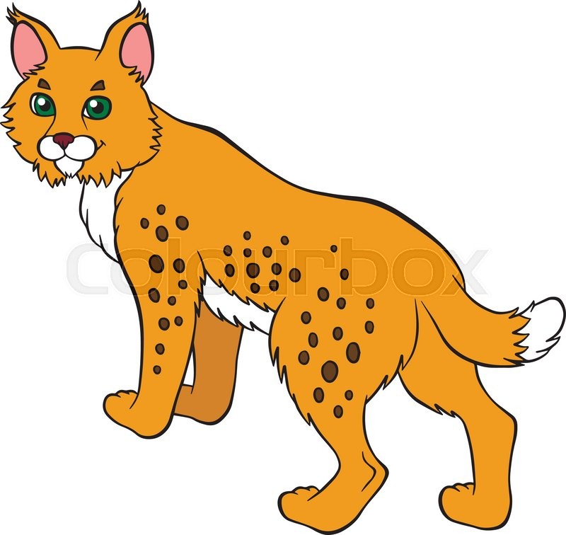 Cartoon Wild Animals For Kids Cute Stock Vector Colourbox