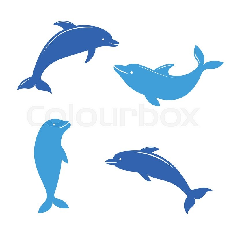 dolphin silhouettes on the white background swimming dolphins