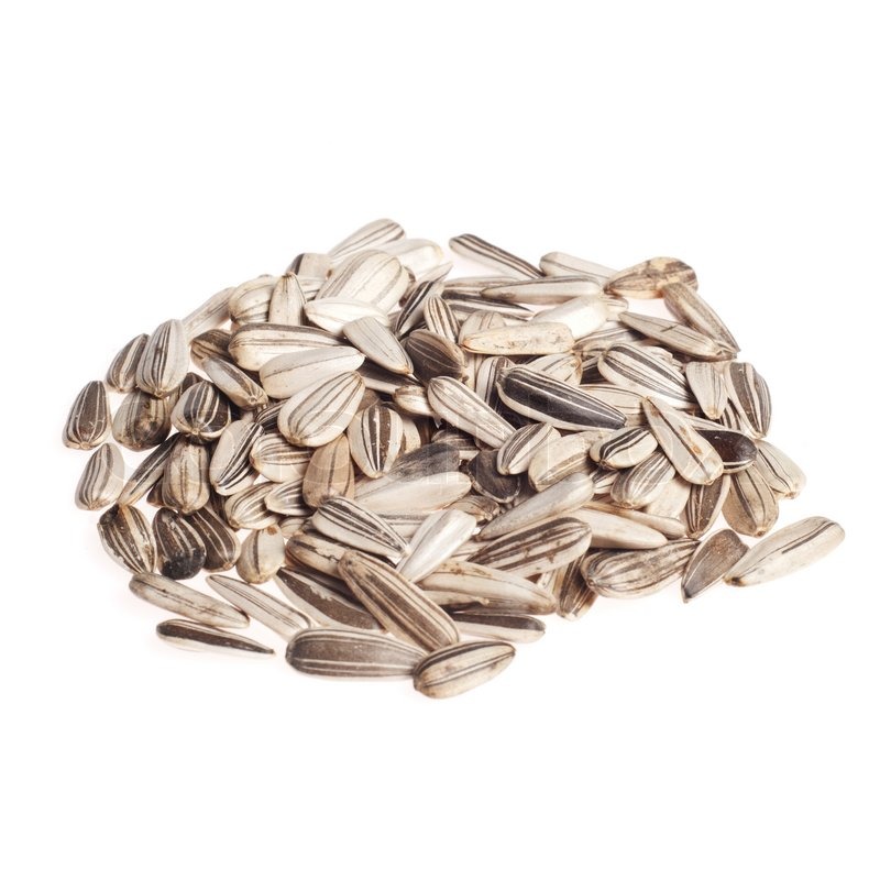 500g Sonnenblumenkerne Gestreift (5,84€/kg) Von Avi-complete
