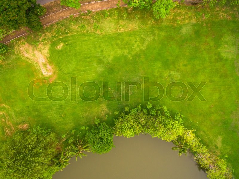 grass aerial texture high resolution natural grass texture aerial view of park stock photo colourbox grass aerial texture high resolution natural grass texture aerial view of park stock photo colourbox