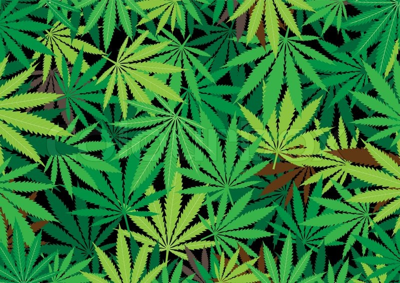 weed leaf background