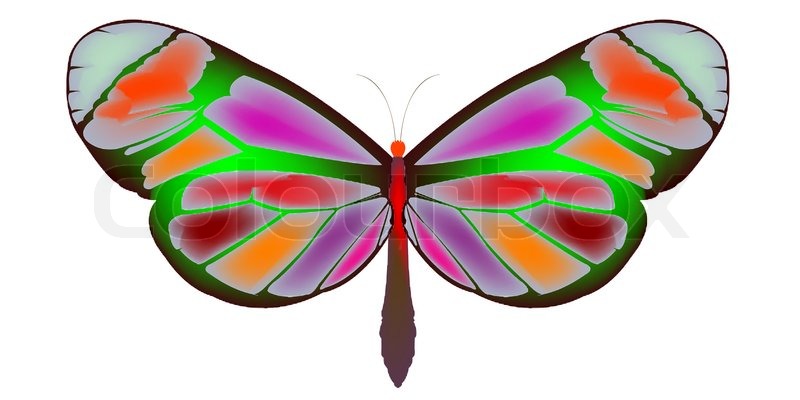 butterfly cartoon art illustration stock photo colourbox