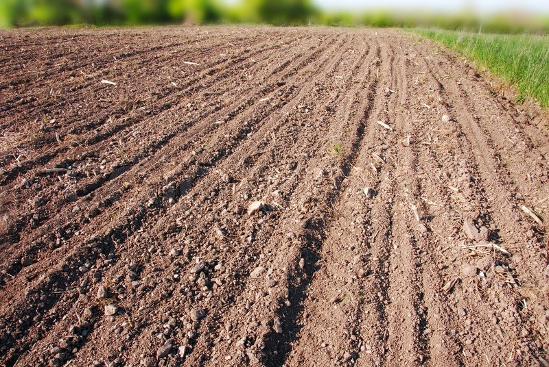 Gepflügten Feld , pflügte braunen Erde Stock Bild Colourbox