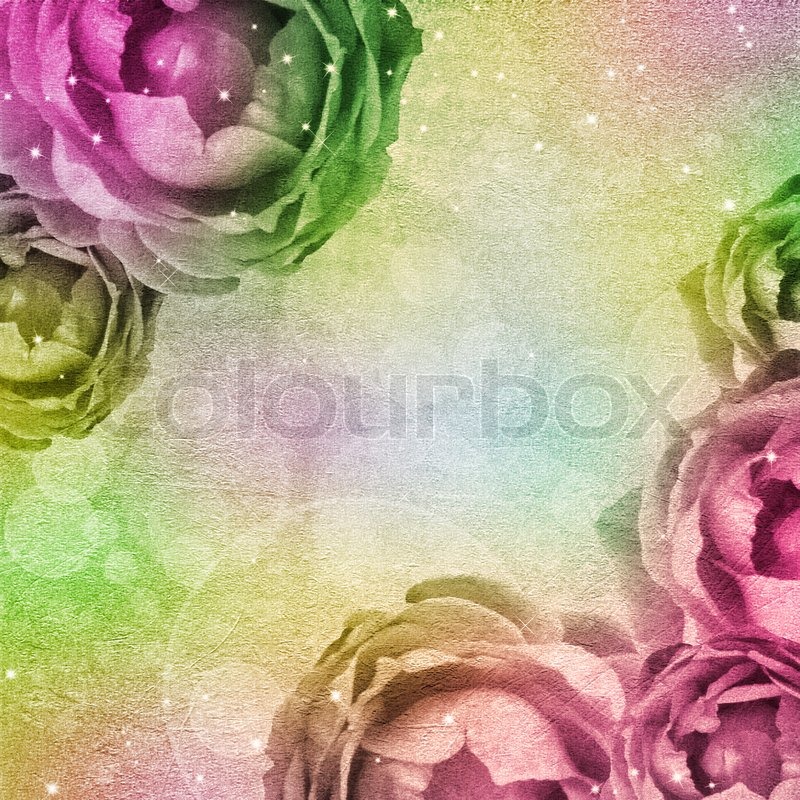 Wedding background with rose | Stock Photo | Colourbox