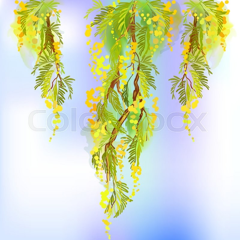 mimosa design