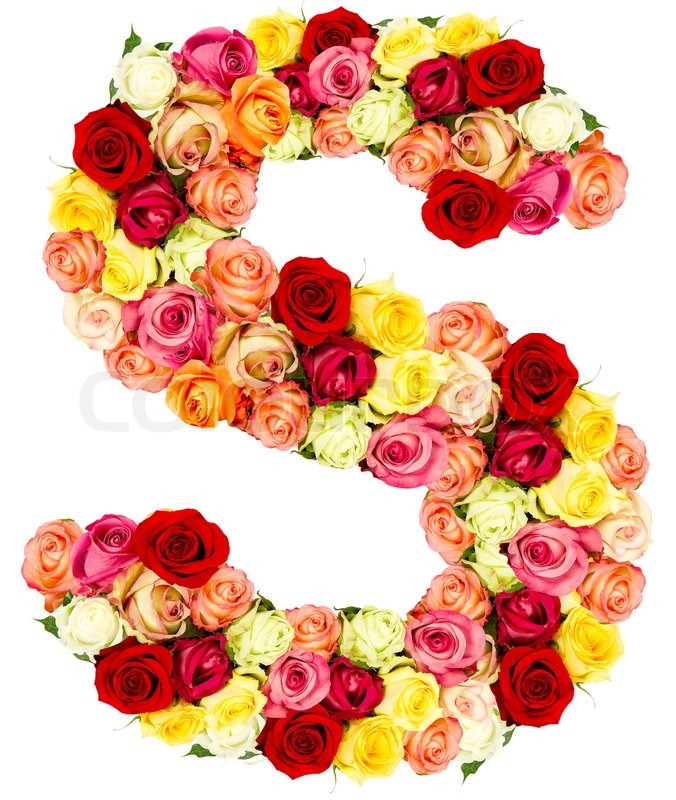 S, roses flower alphabet | Stock image | Colourbox