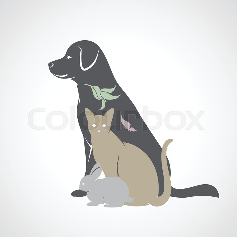 Vector group of pets Dog, cat, Stock vector Colourbox