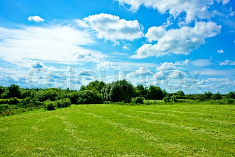 Garten mit einem grünen Rasen | Stock Bild | Colourbox