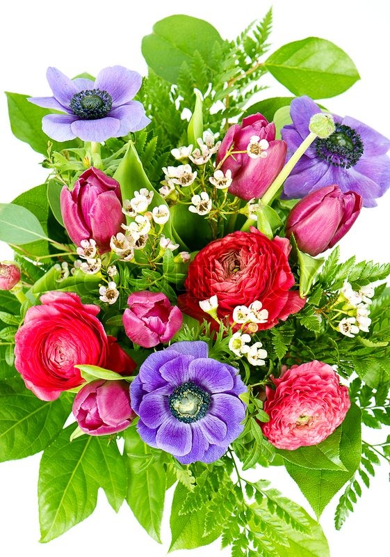 Bunte Blumen-Strauß | Stock Bild | Colourbox