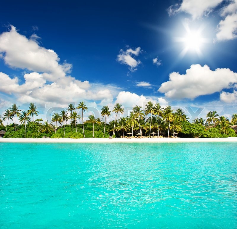 Tropical Island Beach Landscape Wallpaper