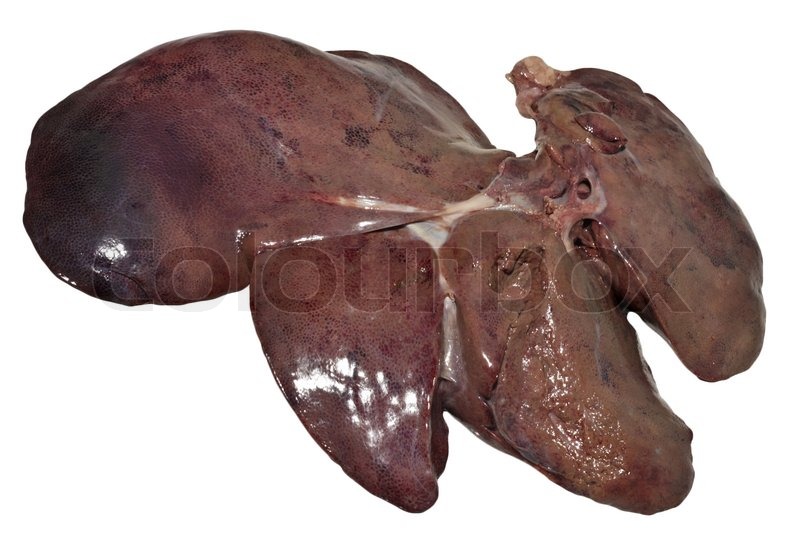 Pork liver | Stock image | Colourbox