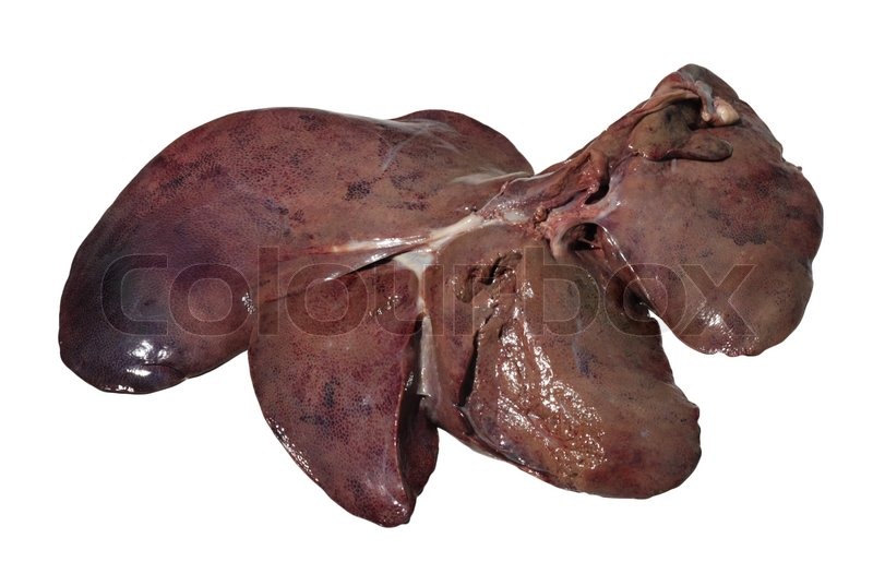 types of liver diseases in humans pdf