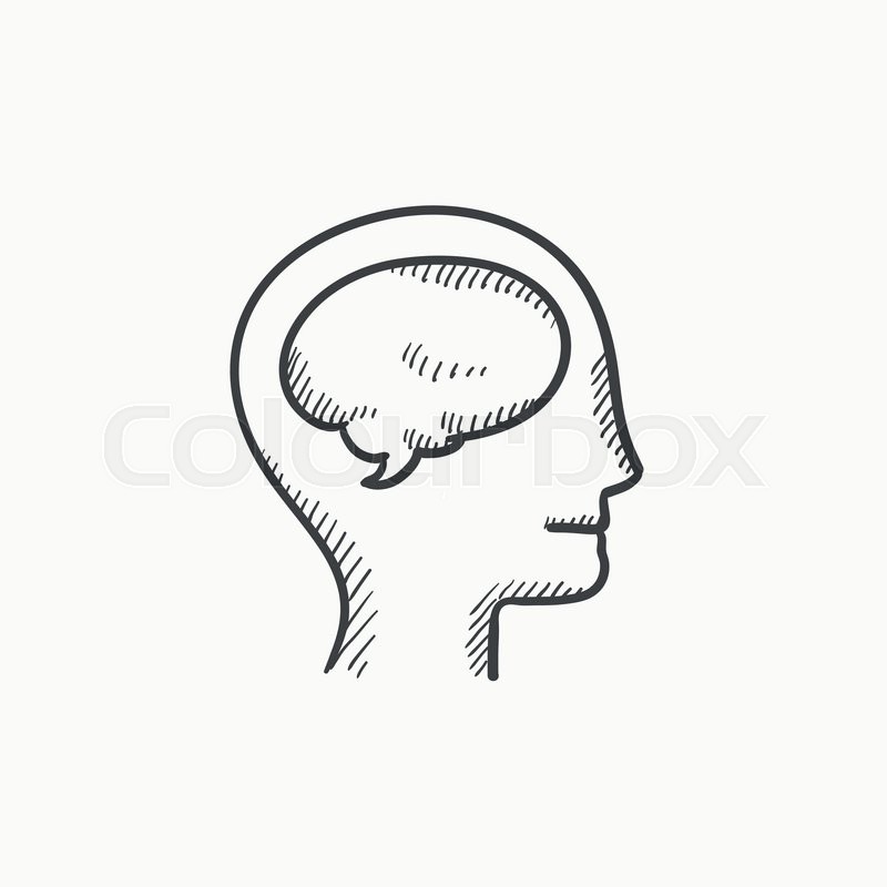 human head with brain vector sketch stock vector colourbox brain vector