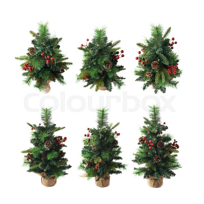 small artificial christmas spruce tree isolated over the white background set of six different foreshortenings stock photo colourbox - Small Artificial Christmas Tree small artificial christmas spruce tree isolated over the white background set of six different foreshortenings stock photo colourbox - Small Artificial Christmas Tree