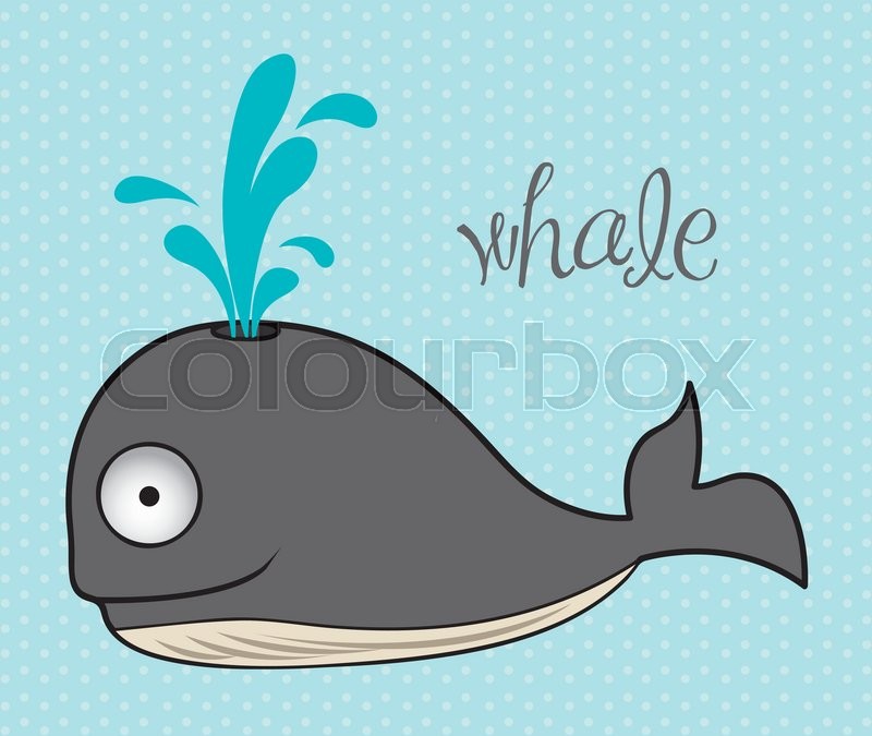 Illustration of whale, fish Drawings, Stock vector Colourbox