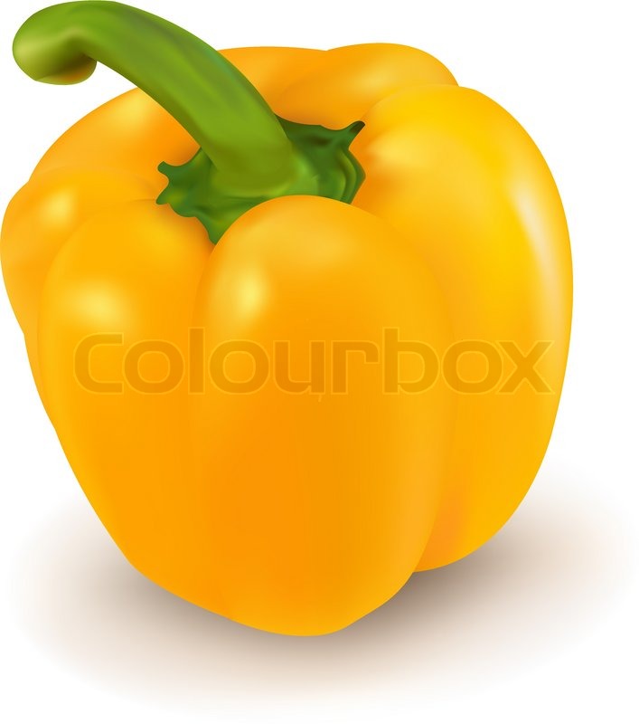 Fotorealistische Vektor Illustration Stock Vektor Colourbox