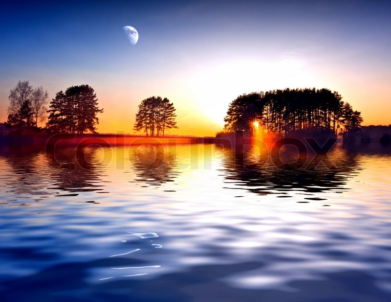 Sunrise Management Property Management Sunrise Management Property Management