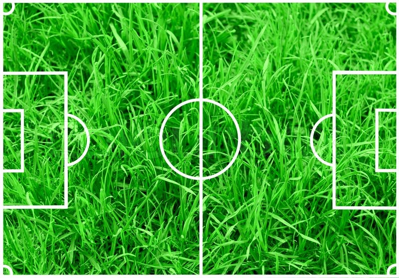 soccer field with white