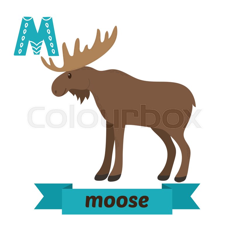 Moose. M letter. Cute children animal ... | Stock vector | Colourbox