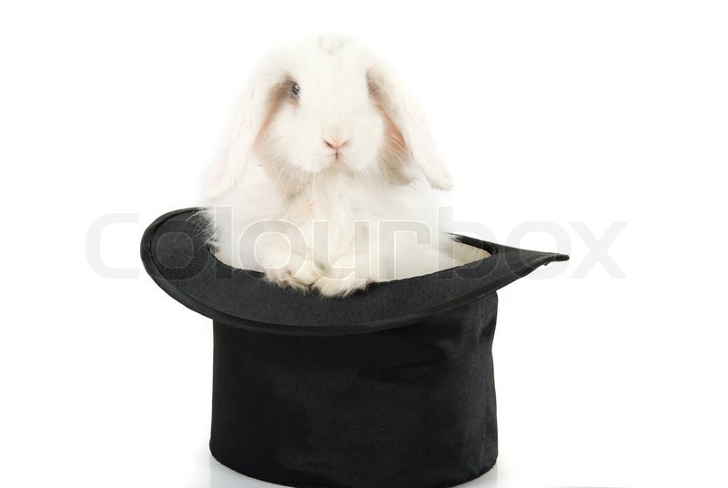 Little Rabbit In A Top Magic Hat Isolated On White Background