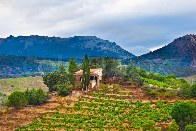 south france view of landscape with vineyards stock photo colourbox
