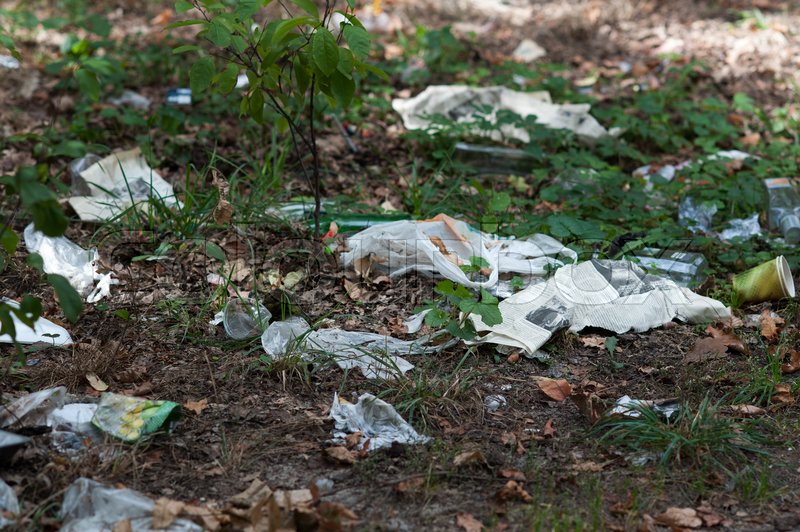Garbage dump in the woods problems of ... | Stock image | Colourbox