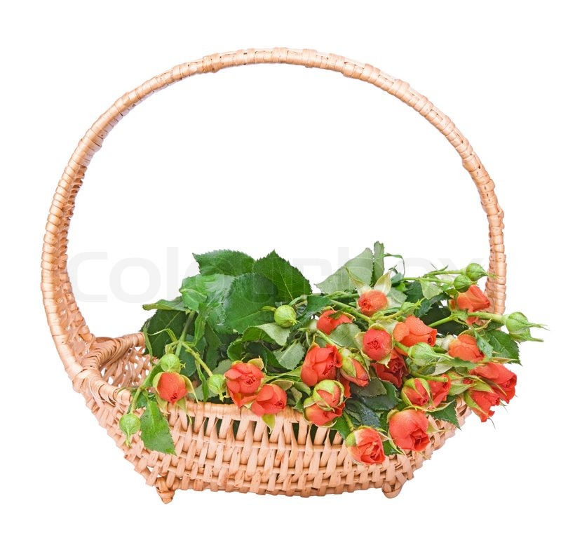 Der Korb von kleinen roten Rosen auf | Stock Bild | Colourbox