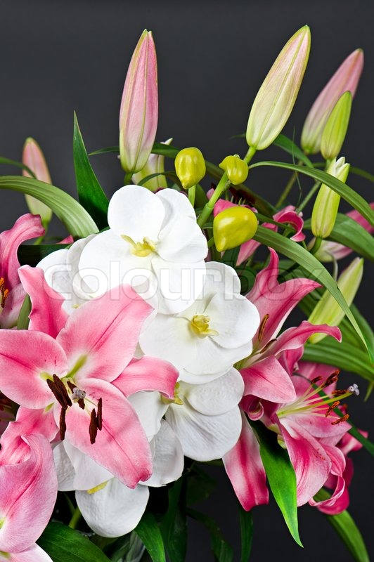 Pink lily and orchid flowers bouquet on | Stock image | Colourbox