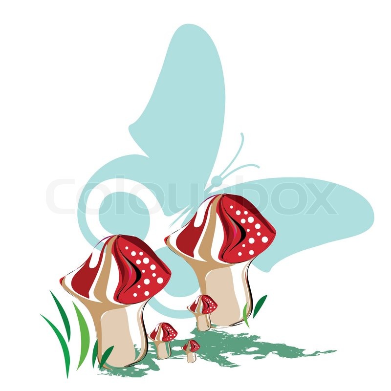 Mushrooms Illustration with Butterfly Stock vector Colourbox