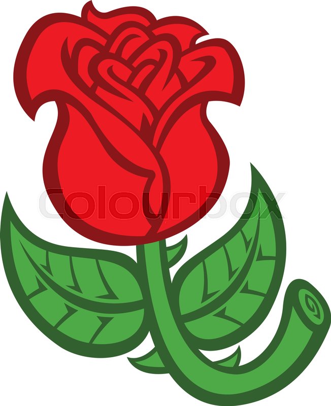 Beautiful Rose Flower vector | Stock vector | Colourbox