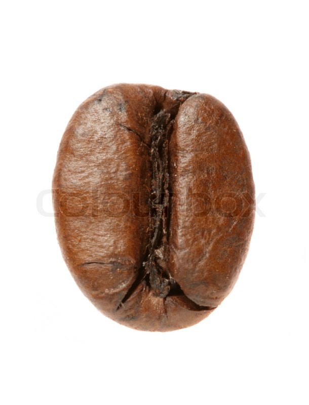 Coffee Bean Macro Isolated Over A White Background Coffee Bean Macro Isolated Over A White Background