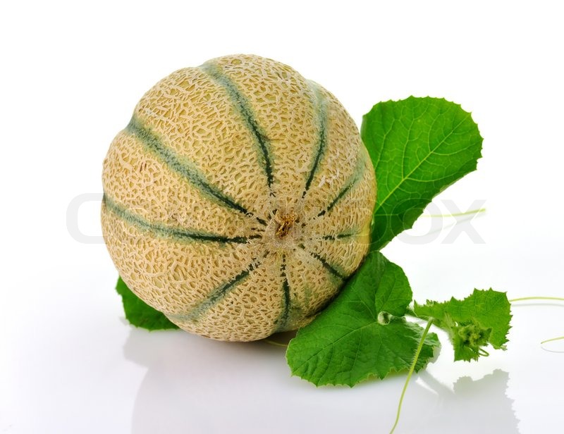A fresh and delicious melon with Stock image Colourbox