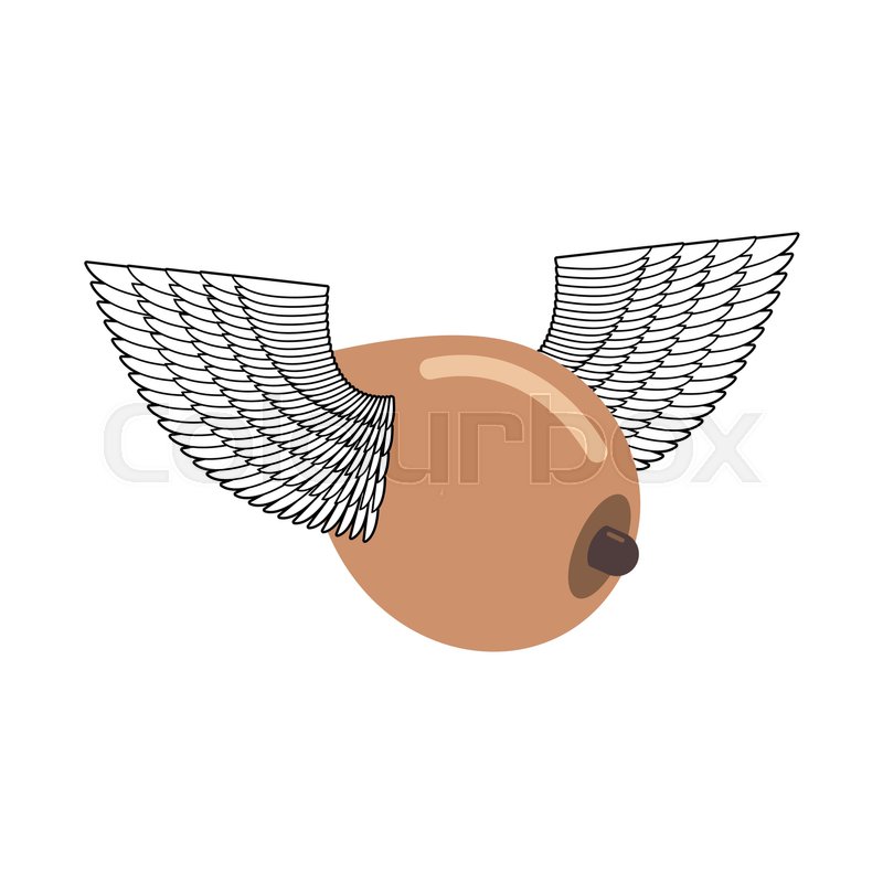 Was Google boob logo really. All Google boob logo apologise