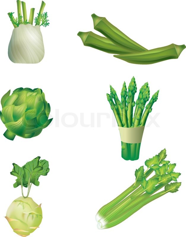 root vegetables clipart - photo #41