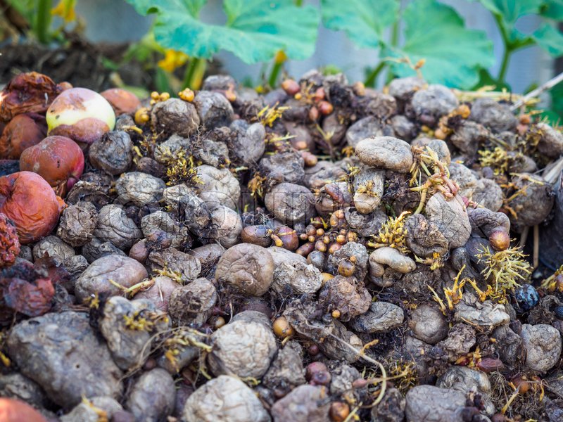 photo-of-rotting-fruit-and-vegetables-stock-image-colourbox