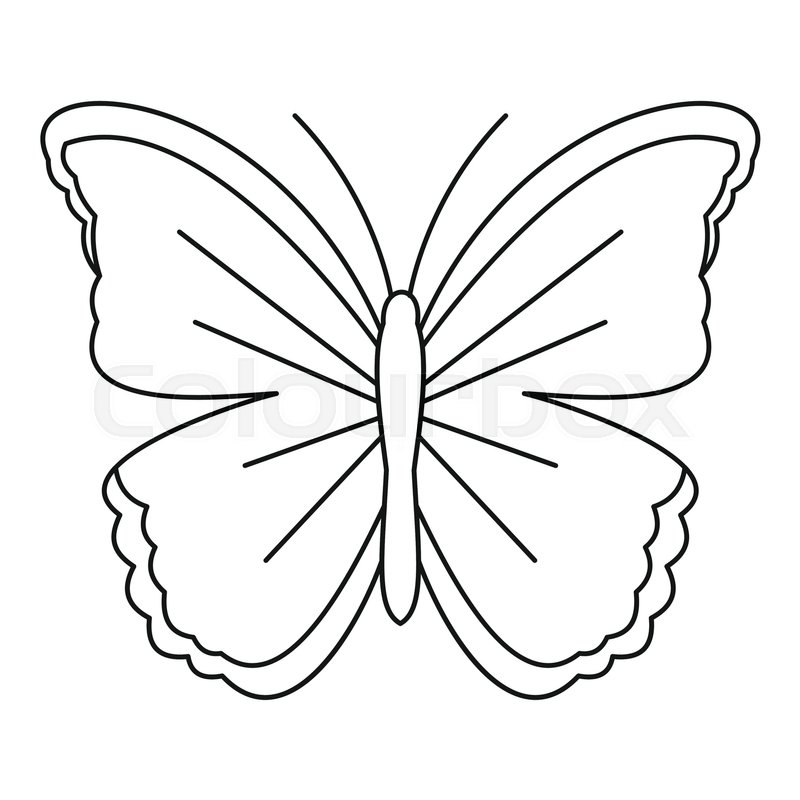 big butterfly icon outline stock vector colourbox